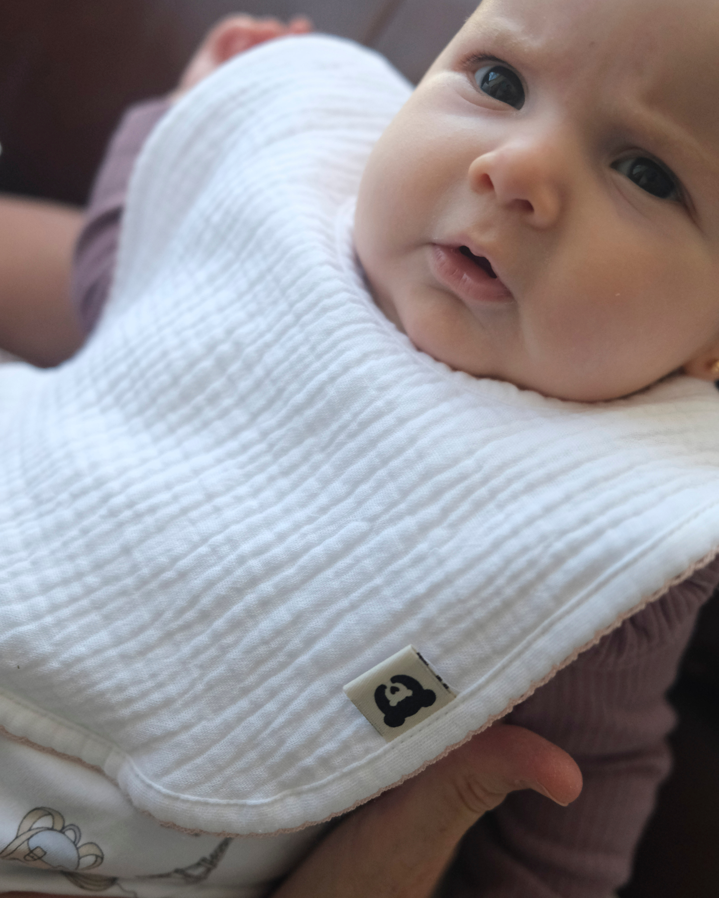 Baberos Rosa | Pack de 3 o 6 und